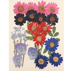 寫信的日子 壓花組合 1425, 花園設計