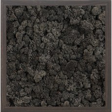스칸디아모스 액자 프라모 WALNUT 프레임 인트라자이트, 1개