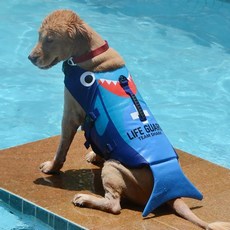 I Love Pet寵物犬救生衣 生命保護, 藍鯊