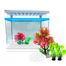 Aqua Terra頂部過濾一體式LED魚缸CT-37PLUS+2種人工水草+4kg彩石, 白色的