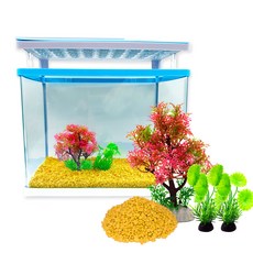 Aqua Terra頂部過濾一體式LED魚缸CT-37PLUS+2種人工水草+4kg彩石, 黃色