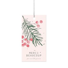 松葉 Mexi 包裝吊牌 4 x 7.6 cm, 100個, 混合顏色