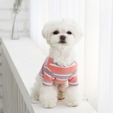 ITS DOG 甜蜜糖果T恤, 粉紅色