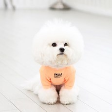 ITS DOG 霓虹短版上衣, 霓虹橘