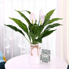 JOART 人造白鶴芋花叢, 2個, 混合顏色