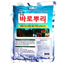바로뿌리입제 식물영양 비료, 1kg, 1개