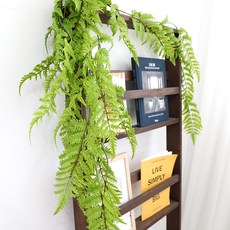 JOART 人造懸掛植物 諾姆拉腎蕨, 混合顏色, 1個