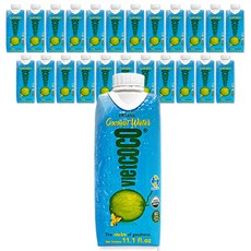 월드푸드 베트남 비엣코코 유기농 코코넛워터, 24개, 330ml