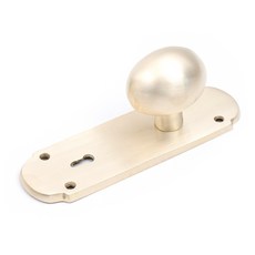 Choice Hardware Colin把手 金色霧面, 1個