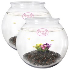 Rora Pet 塑膠福袋造型魚缸 2入 + 已清洗底材 2入 + 3種人造水草 2入 套組, 混合顏色, 1個