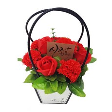 Jinaraose握把肥皂花 康乃馨, 14 號