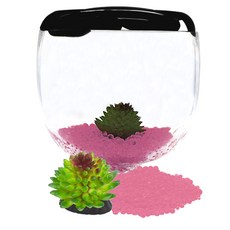 Aqua Terra Marimo & Beta 酒杯魚缸開花套組, 魚缸（黑色）、生物沙（粉色）