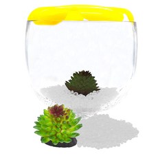 Aqua Terra Marimo & Beta 酒杯魚缸開花套組, 魚缸（黃色）、生物沙（白色）