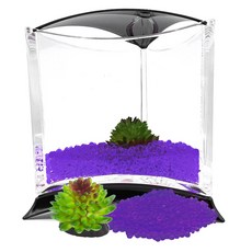 Aqua Terra Marimo & Beta Cube 魚缸生物沙套組, 魚缸（黑色三角洲），沙子（紫色）