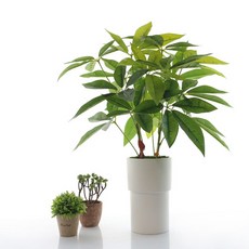 人造發財樹枝, 綠色, 1個