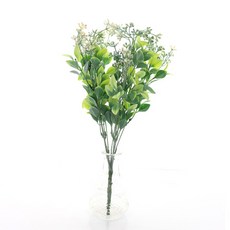 다우에프앤지 조화 스키미아 3p, 화이트