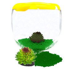Aqua Terra Marimo & Beta 酒杯魚缸開花套組, 魚缸（黃色）、生物沙（綠色）