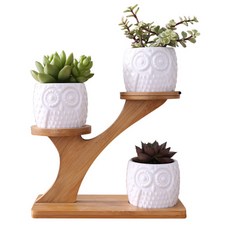 Block Mart 陶瓷竹製3層貓頭鷹花盆, 混合色