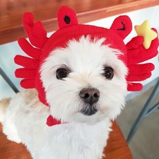 강아지 꽃게 모자, 혼합색상, 2개