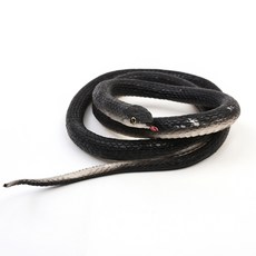 PARTYHAE 逼真蛇模型 黑色, 1個