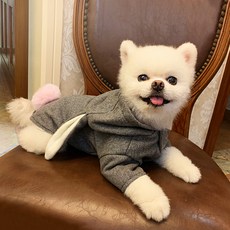 정글몬스터 강아지 토끼 후드티, 그레이, 1개
