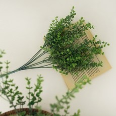 THE FLOWERMARKET 和諧蕨類桉樹灌木, 混色, 4個