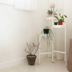 MARKET B TRISHEL 層架, 白色, 3層