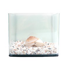 迷你水族箱+五色繩 600g+人造水草裝飾2組, 混色