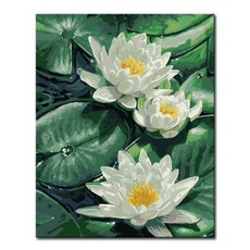 DIY油畫, 清純的心 S51