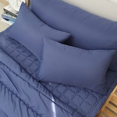 Eroomn Anycare 防過敏枕頭套 2入