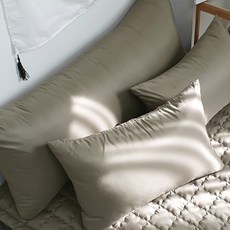 Eroomn Anycare 防過敏枕頭套 2入