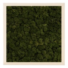 스칸디아모스 Birch 프레임 + 프라모 모스그린, 1세트