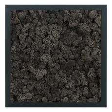 스칸디아모스 Black 프레임 + 프라모 인트라자이트, 1세트