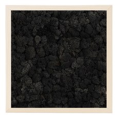 스칸디아모스 Birch 프레임 + 프라모 블랙, 1세트