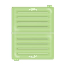 INCONTRO 運動智慧型全尺寸涼感墊, 淺綠