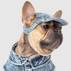 캐나다푸치 강아지 캡모자, 청데님, 1개