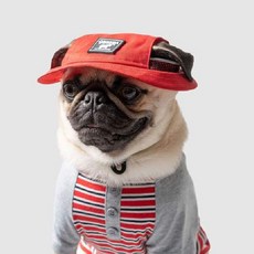 캐나다푸치 강아지 벙거지 메쉬모자, 레드, 1개