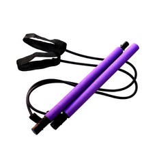 다이어트학교 보라스틱 홈트레이닝 근력밴드, Purple, 1개