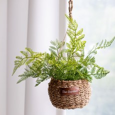 Artifati Nomuragosari 人造藤掛花盆套組, 混色, 1套