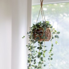 Arti Party Love Chain Ratan 掛花盆套組, 混色, 1套