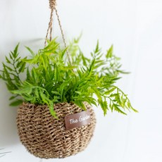 Artifati艾草人工藤掛盆套組, 混色, 1套