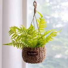 Artifati Fern 人造藤掛花盆套組, 混色, 1套