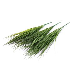 Dawoo F&G 人造絲蘭花叢 3入, 混合色, 1個