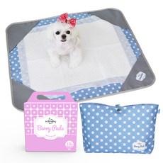 sceneby 旅行中號無味10片+阻隔啞光中藍+小袋藍套組, 1組, 10入