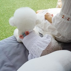 寵物款鏤空設計連身裙, 白色的