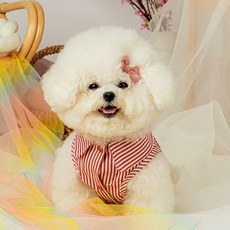 스트라이프 반려동물 하네스 티셔츠, 레드, 1개