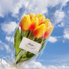 이플린 감성 조화 튤립 꽃다발 10송이, 오렌지, 10개