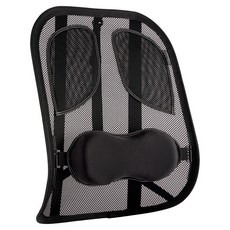 Fellowes 斐樂 專業網眼靠背墊, 單一顏色