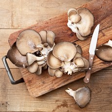 국내산 왕느타리버섯, 500g, 1개