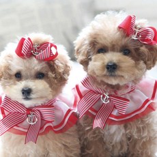 팝앤퍼피 마린 강아지 케이프 M, 레드, 1개